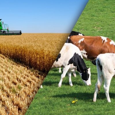 What Is HTS Code? Everything You Need to Know for Export & Shipping