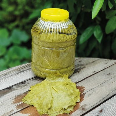 What Is HTS Code? Everything You Need to Know for Export & Shipping