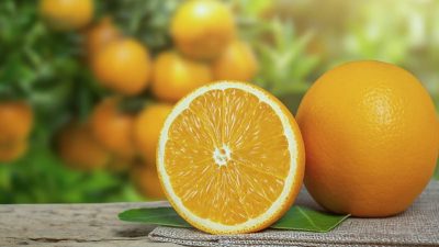 Orange Export