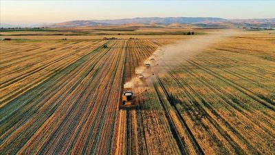 Record Exports From the Agricultural Sector